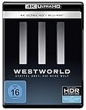 Westworld - Die komplette 3. Staffel - Repack (3 Blu-rays 4K Ultra-HD) (+ 3 Blu-rays 2D)