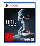 Until Dawn™