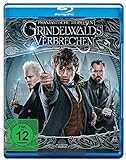 Phantastische Tierwesen: Grindelwalds Verbrechen [Blu-ray]