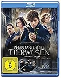 Phantastische Tierwesen und wo sie zu finden sind [Blu-ray]