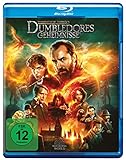 Phantastische Tierwesen: Dumbledores Geheimnisse [Blu-ray]